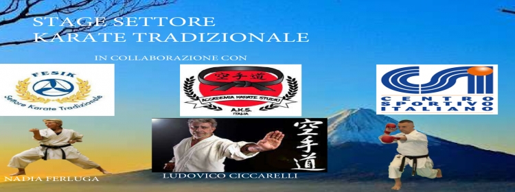 Stage Settore Karate Tradizionale - Domenica 26 Maggio 2024 - dalle 9.30 alle 12.30 - Annone Brianza (LC)